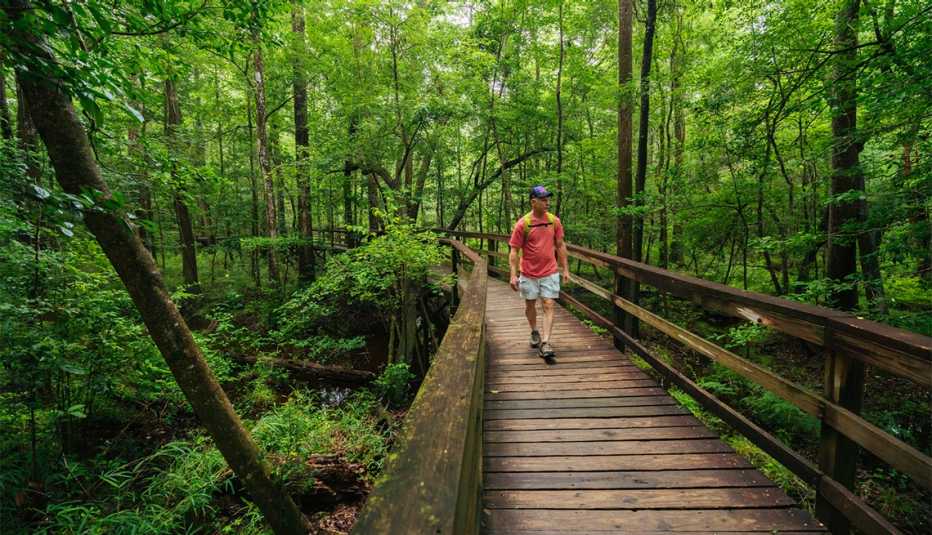 A male hiker hiking the board walk loop trail in Congaree National Park, South Carolina