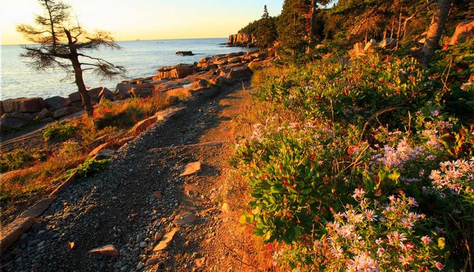 Sunrise, Ocean Trail, Otter Cliff, Acadia National Park