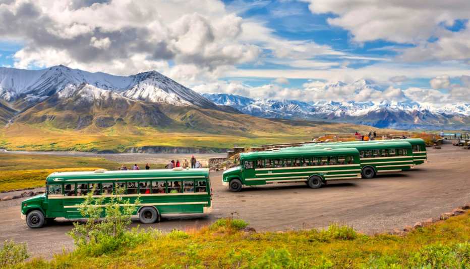 buses parked for tourists in denali national park alaksa