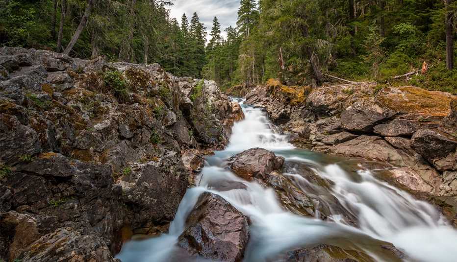 Ohanapecosh River standing on the precipice of Silver Falls in Mount Rainier National Park.