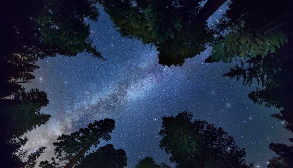 The Milkyway shines in a starry sky above Sequoia National Park.