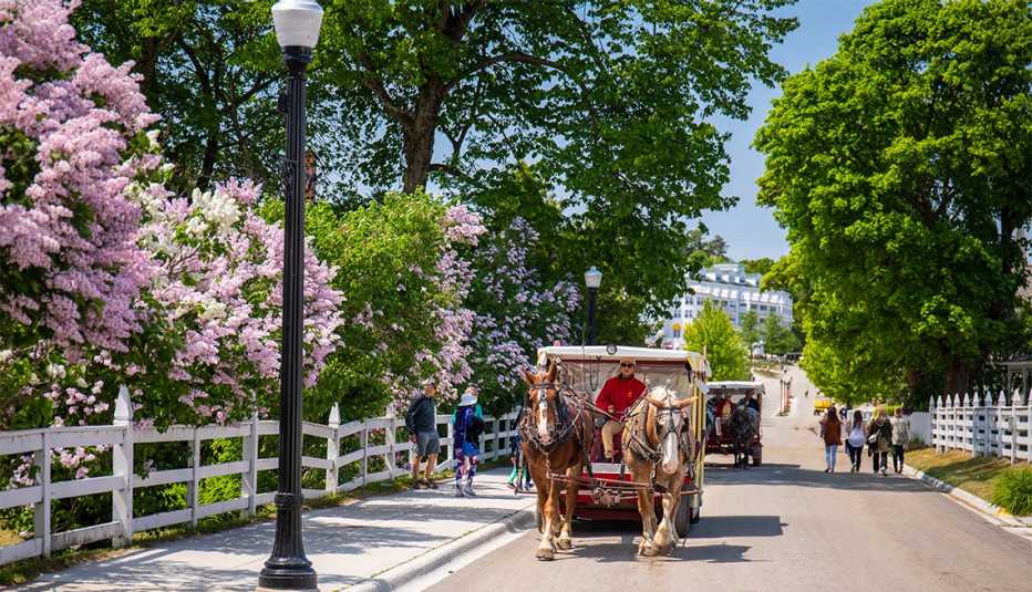 Carriage ride at Mackinac Lilac Festival