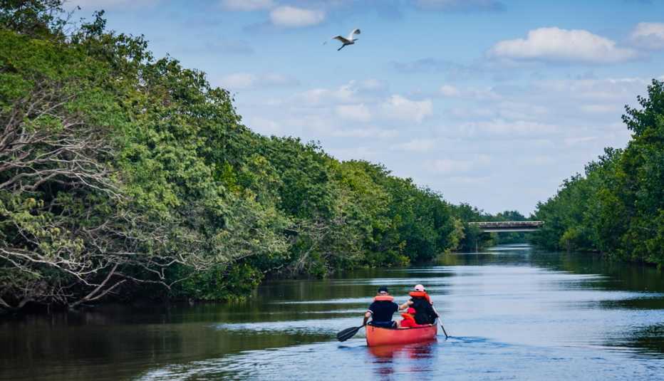 people kayaking through past mangroves in biscayne national park