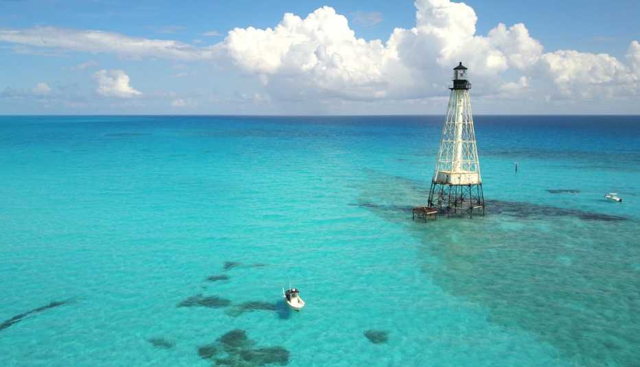 a coral reef off the cost of the florida keys