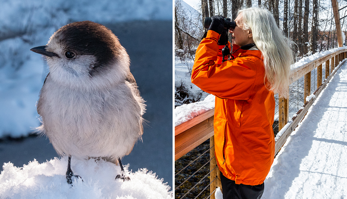left a titmouse in the snow right a woman with binoculars birdwatching