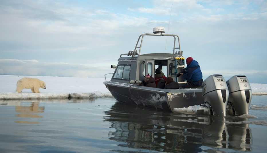 Several tourists carefully observe a polar bear from their boat hosted by Akook Arctic Adventures.