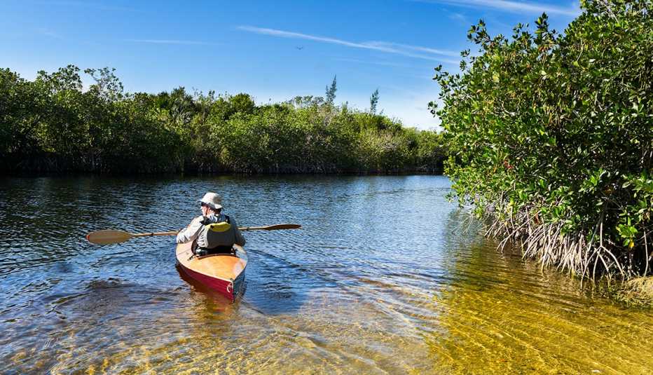 The Everglades are the largest subtropical wilderness in the United States.