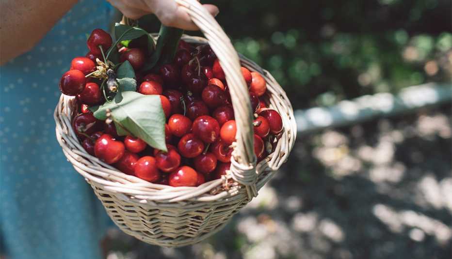 woman holding a basket of cherries