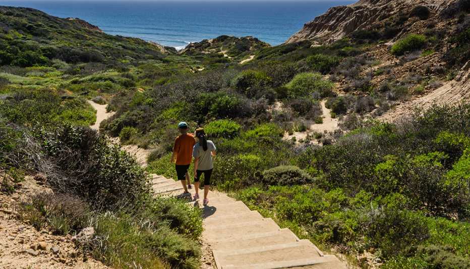 Torrey Pines State Natural Reserve, located within San Diego city limits,  remains one of the wildest stretches of land on our Southern California coa