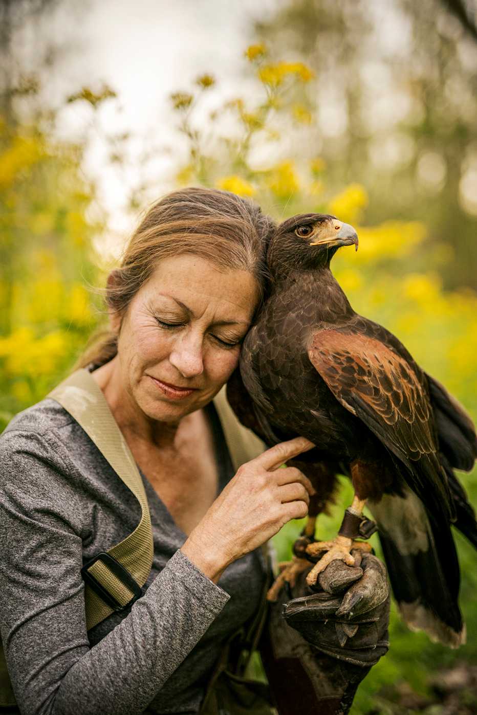 a woman falconer holds a hawk close and strokes its belly