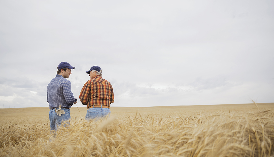 Farmers standing in a wheat field