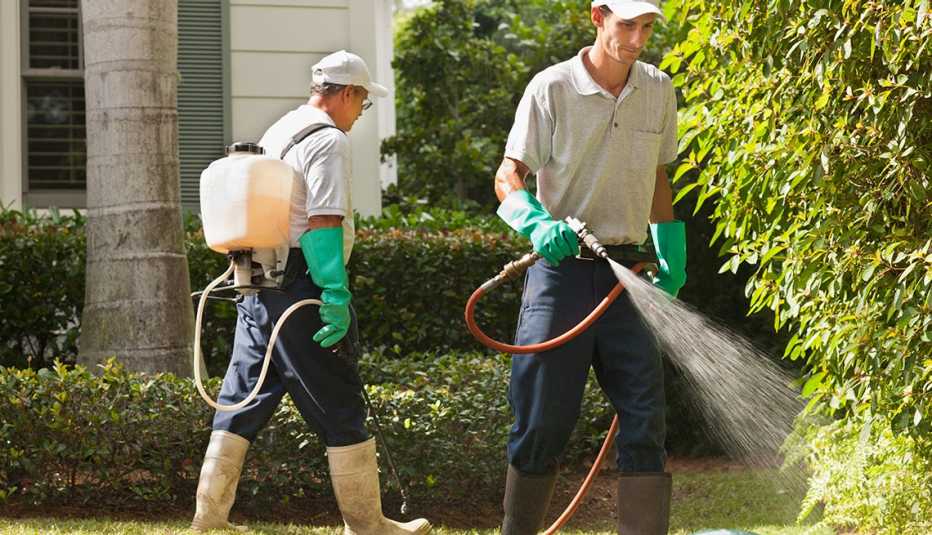 10 Great Jobs for workers over 50 - Eco-landscaper
