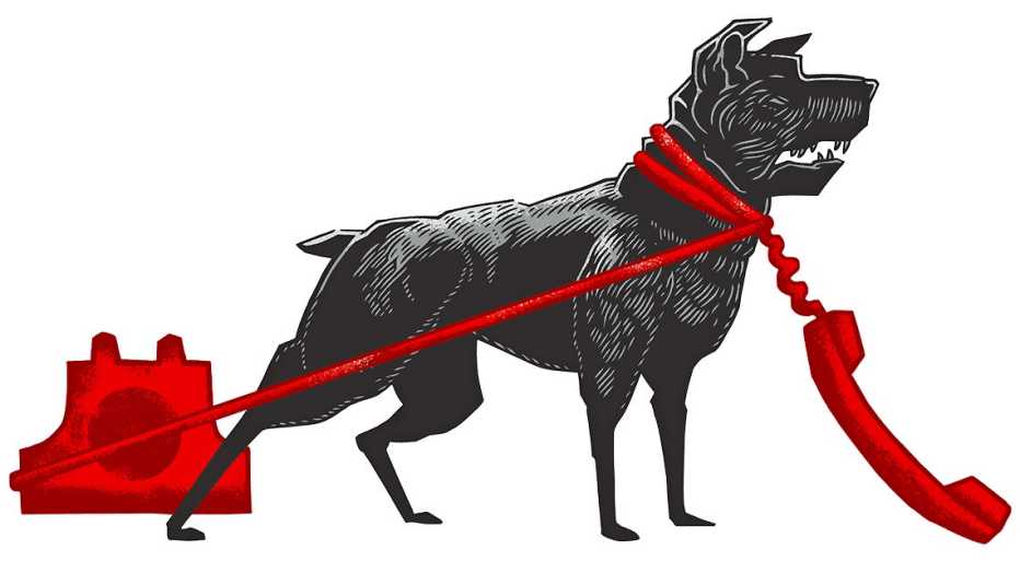 Ilustración de un perro negro con un cordón de un teléfono rojo que le da la vuelta por el cuelllo, para que combatas el fraude