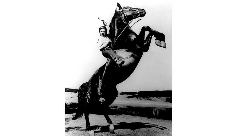 Animales estrellas de cine y TV - El caballo Furia