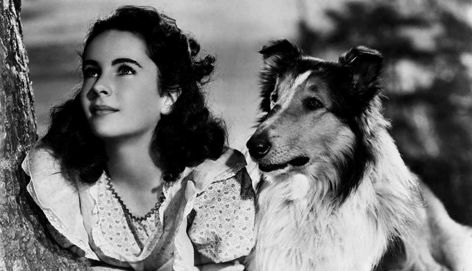 Animales estrellas de cine y TV - Elizabeth Taylor y la perra de raza collie Lassie
