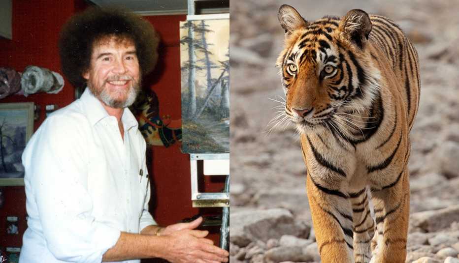 Una imagen de Bob Ross en "Bob Ross: Happy Accidents, Betrayal & Greed" y un tigre en una escena de "Life in Color with David Attenborough".