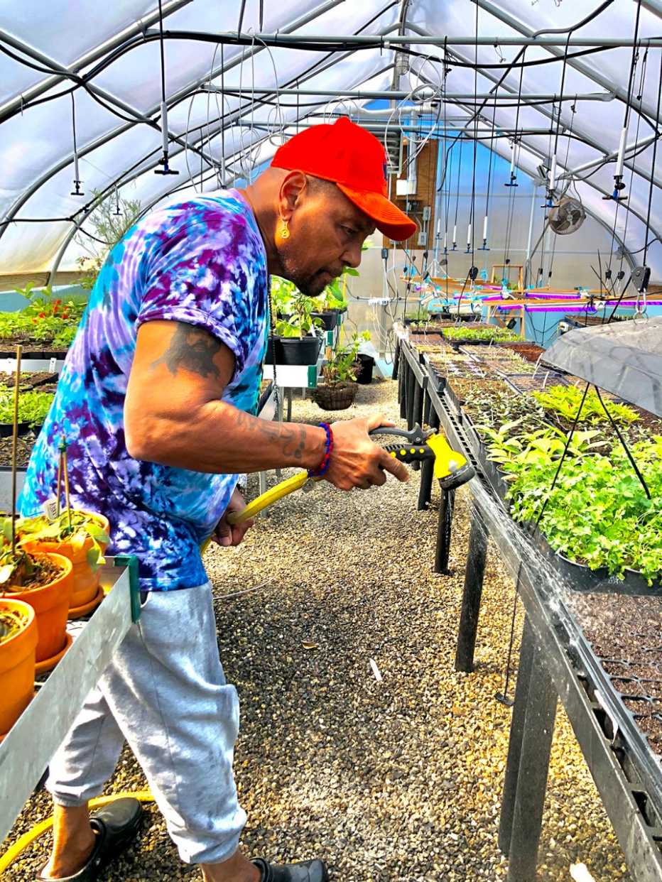 Aaron Neville colocando agua a unas plantas en un invernadero.
