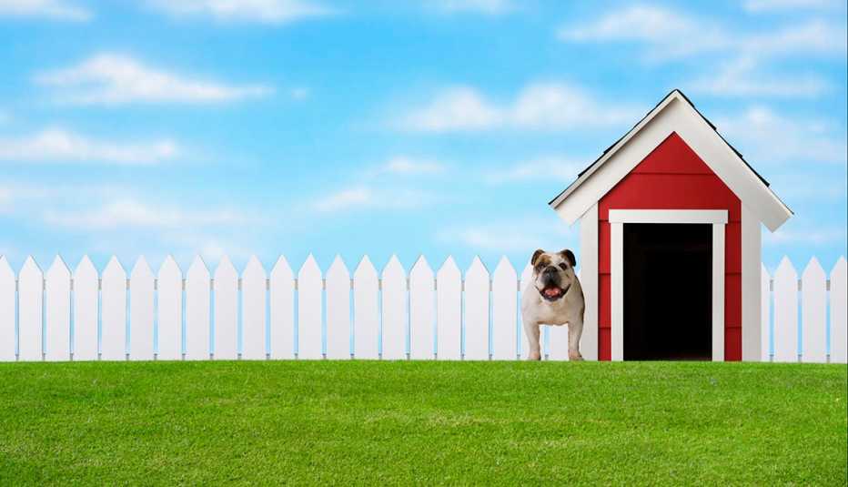 Imagen de un perro junto a su casa en el jardín