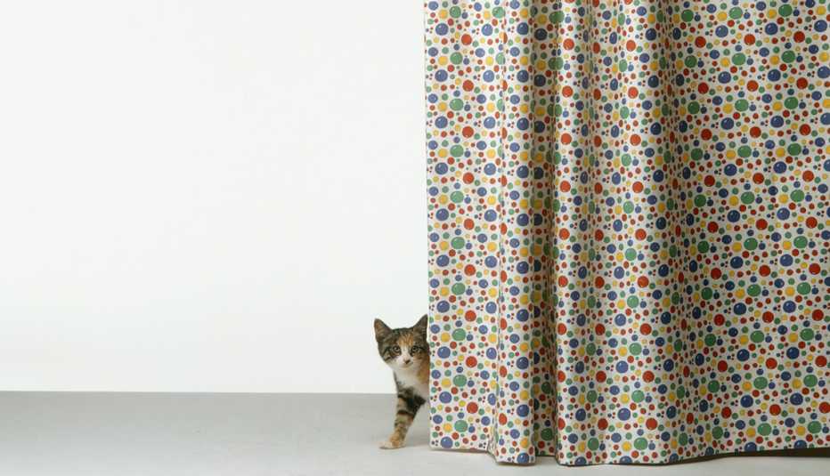 Un gato detrás de una cortina