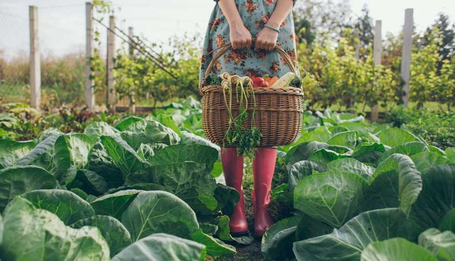Mujer sostiene cesta con vegetales