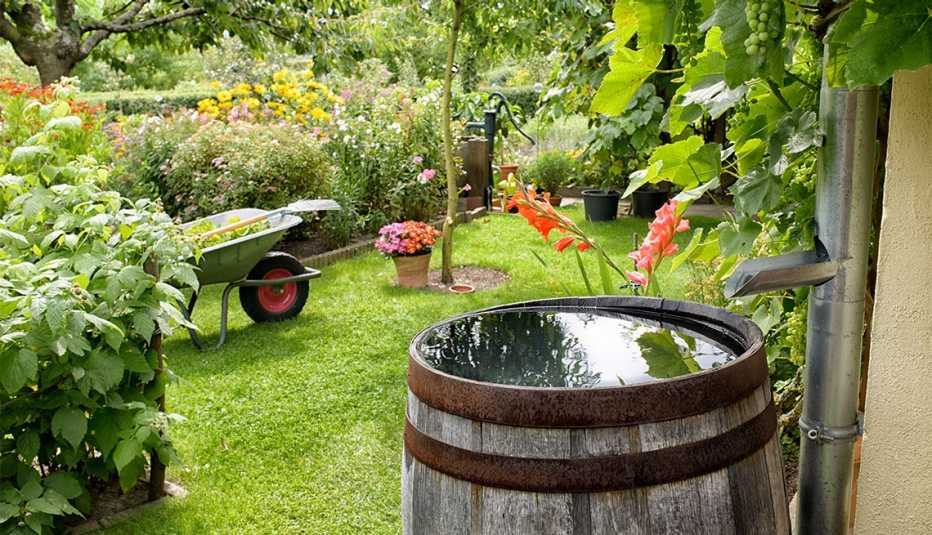 un barril de madera para recoger agua de lluvia en un jardín