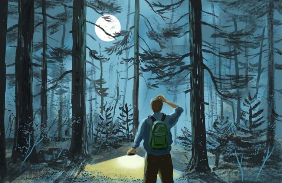 Ilustración de un hombre caminando en el bosque por la noche