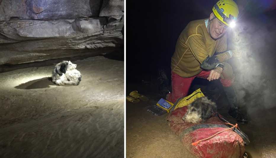 Abby un perro perdido en una cueva y Rick Haley quien lleva al perro en una bolsa de lona