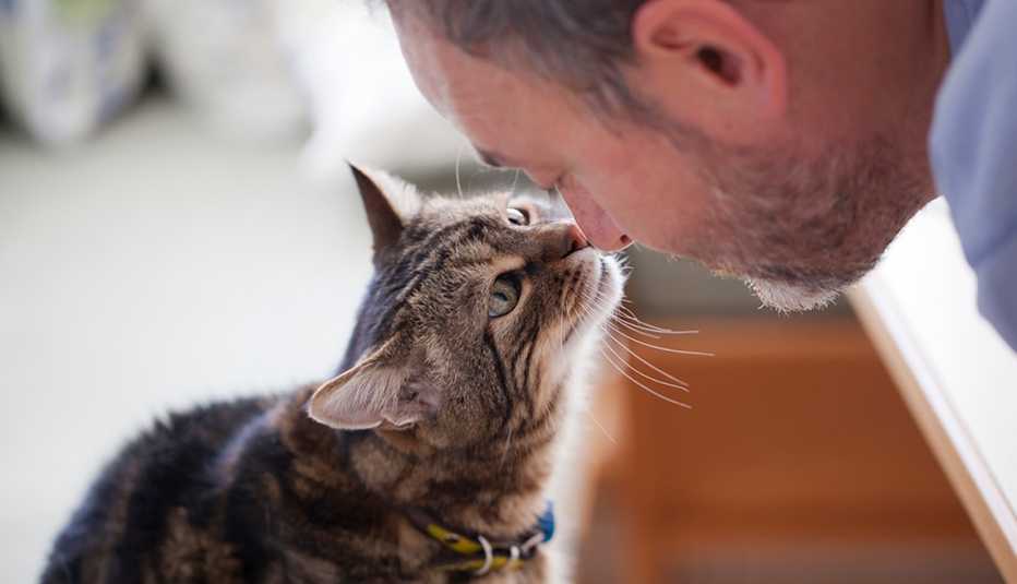 Un hombre y su gato mascota juntan sus narices
