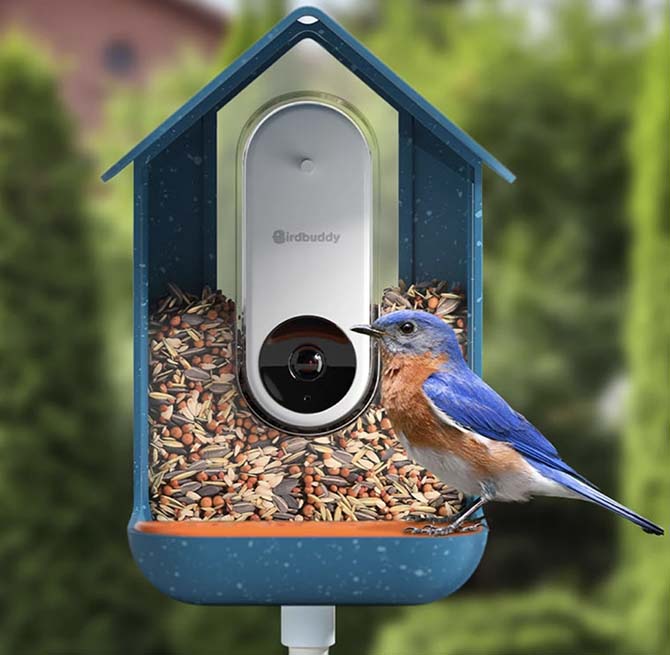 Dispensador digital de comida para pájaros