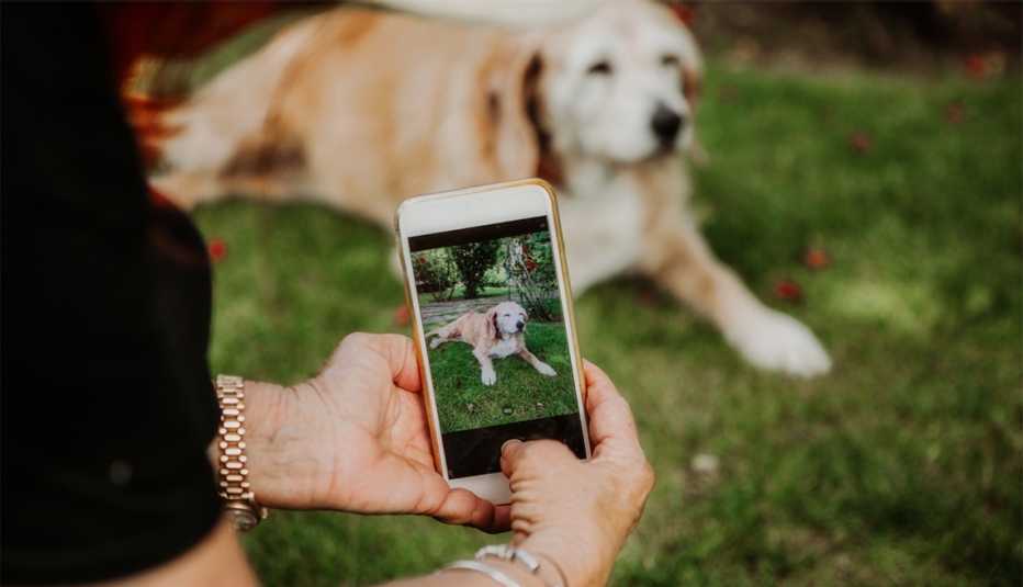 Mujer toma la foto de su perro con un teléfono