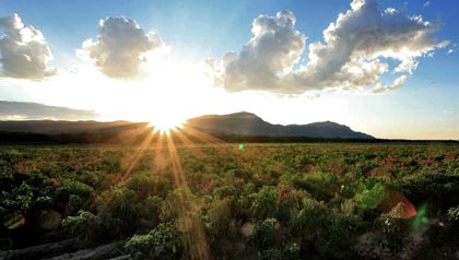 Diez lugares soleados donde jubilarse - Las Cruces, Nuevo México.
