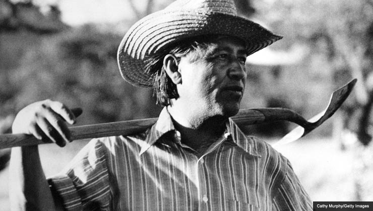 César Chávez (1927 - 1993), fundador de Unión de Campesinos de América (UFW), tiene una pala en sus hombros mientras trabajaba en el jardín de la comunidad de La Paz, California, 1975.