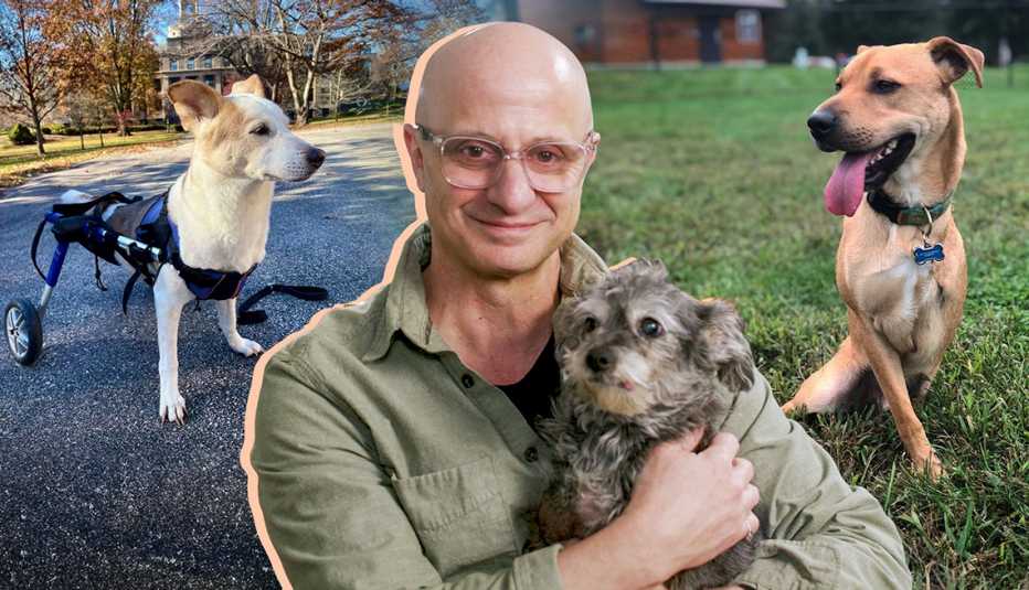 Domenick Scudera sostiene un perro junto a otros dos perros que tienen solo dos patas tras haber sido mutilados