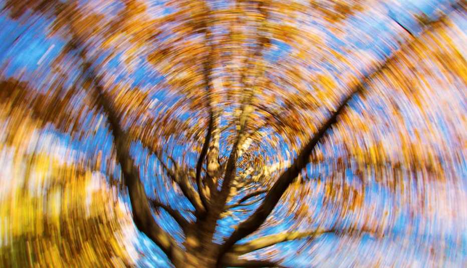Árbol con hojas de otoño, foto fuera de foco