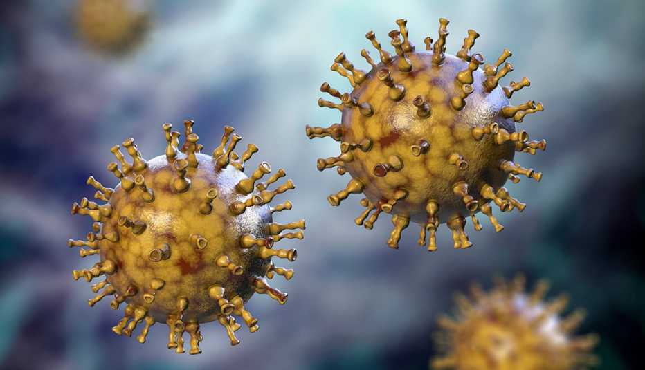 Ilustración del virus que causa la culebrilla