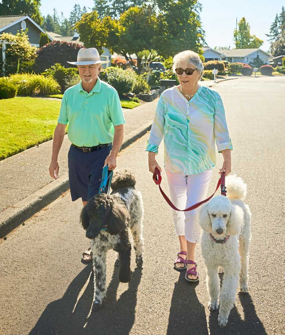 Joyce Ares y su esposo Richard caminan por su vecindario con sus perros