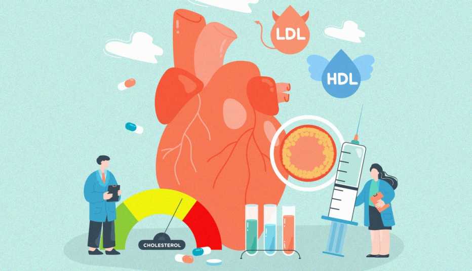 Ilustración que muestra un corazón humano, dos medicos y el colesterol bueno y malo