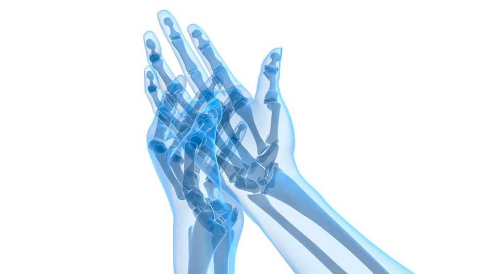 Estructura ósea de las manos