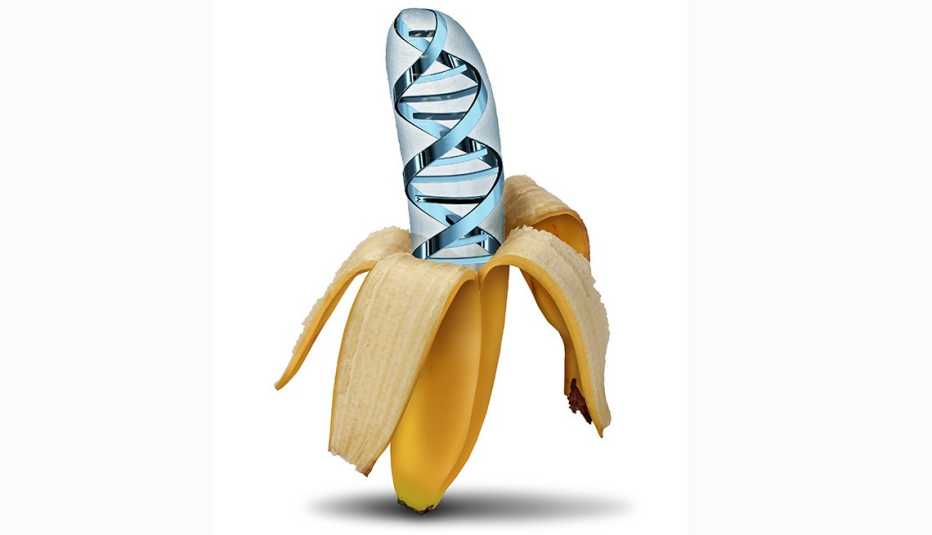Banana - ADN