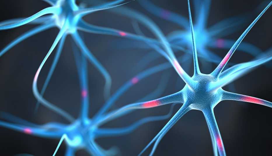 Conexión de neuronas en el cerebro