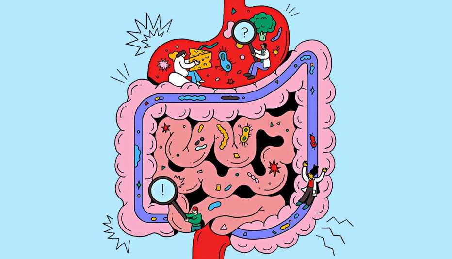Caricatura del sistema digestivo con gérmenes y bacterias en los intestinos y médicos examinando el contenido del estómago