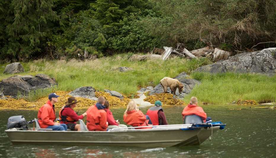 Grupo de turistas en un bote observa a un oso.