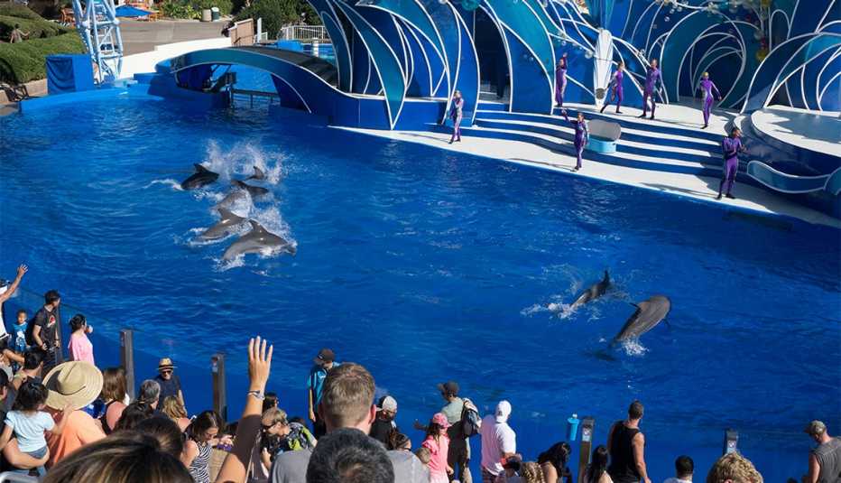 Exhibición de delfines en el zoológico de San Diego