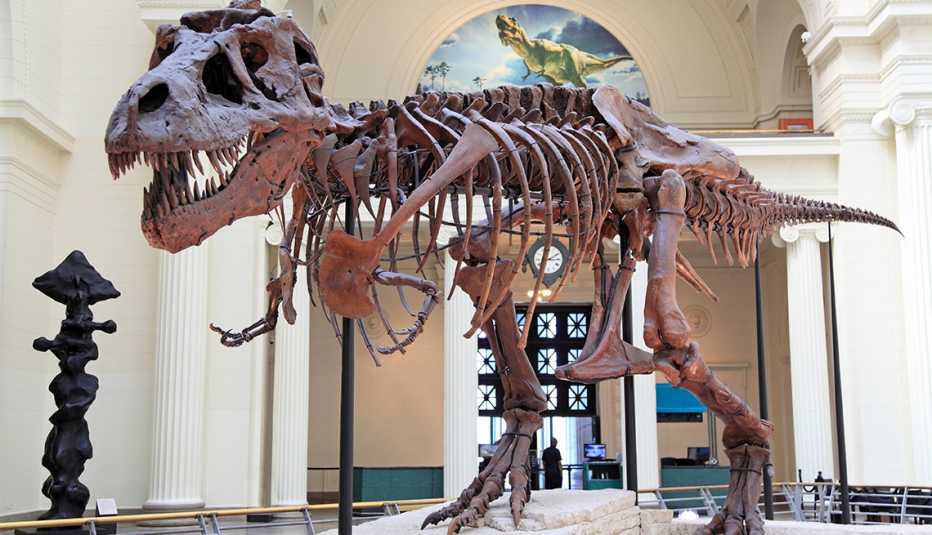 Esqueleto de tiranosaurio (T-Rex) en el Field Museum de Chicago.