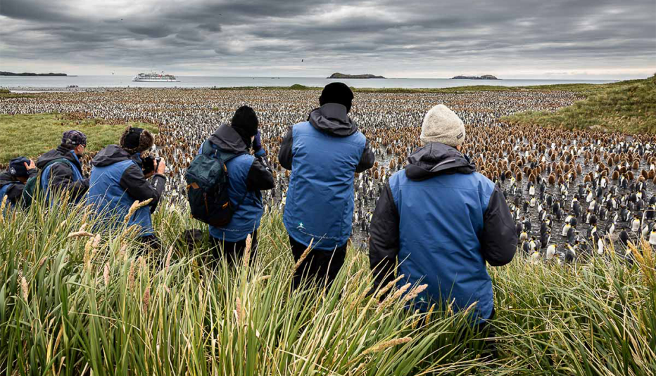 un grupo de fotógrafos tomando fotos de pingüinos rey durante un recorrido fotográfico en crucero por el océano atlántico sur