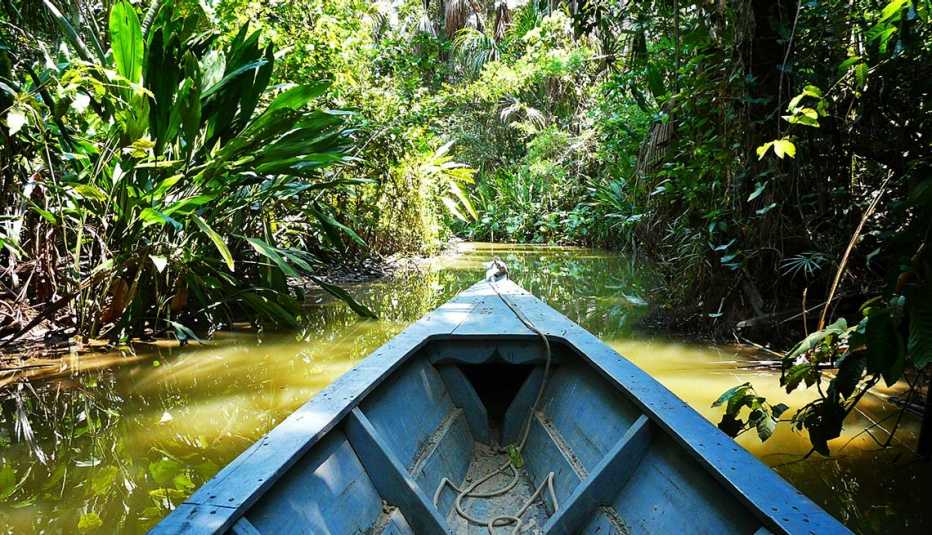 View from a boat looking at the Amazon river and jungle, Captivating Peru: Inca Trails, Beaches and Gastronomy
