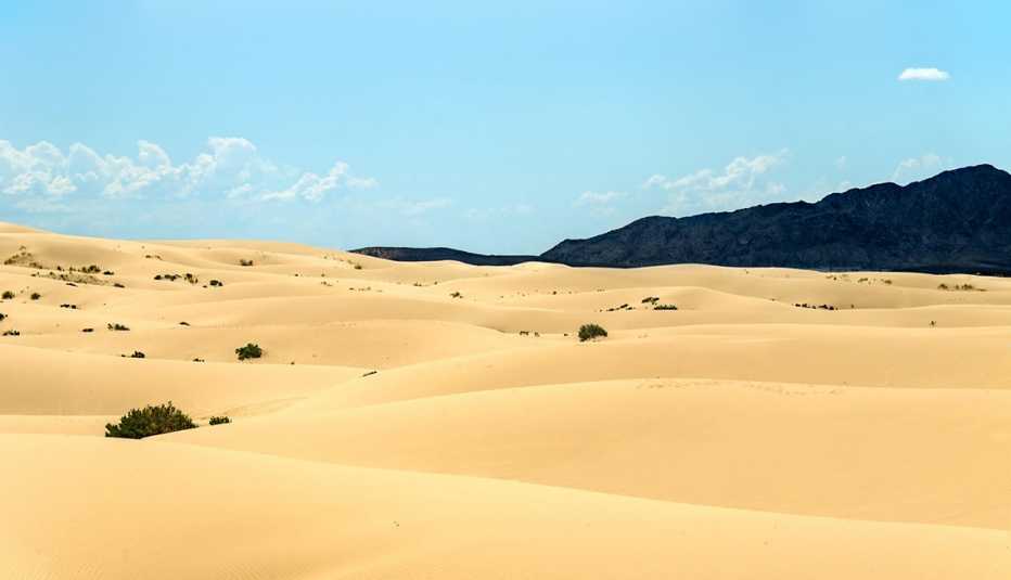 Desiertos y dunas en Latinoamérica - Salamayuca, México