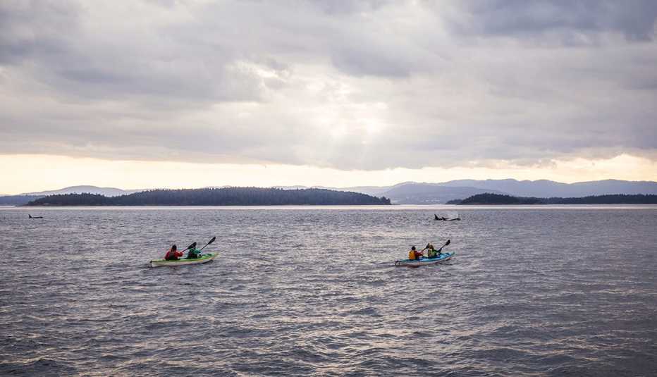 Grupo de personas en kayaks observando ballenas