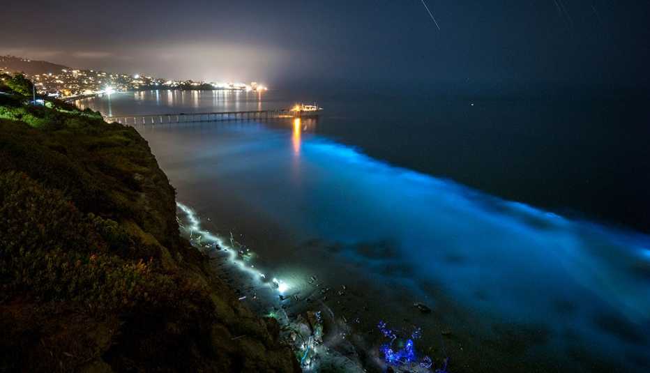 agua azul brillante con plancton bioluminiscente en san diego