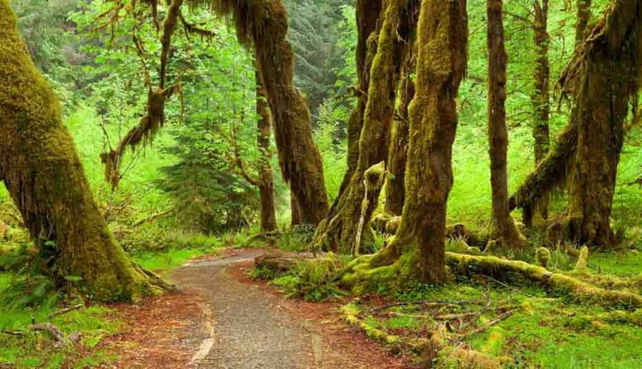 10 Best National Park Hikes - Olympic 